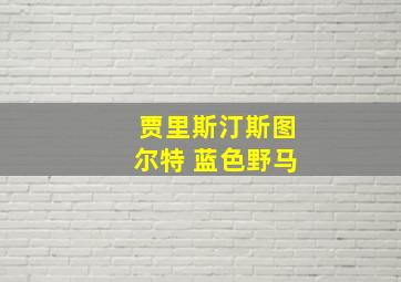 贾里斯汀斯图尔特 蓝色野马